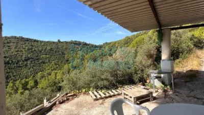 Rustic Finca in Albiol (L`) photo 3