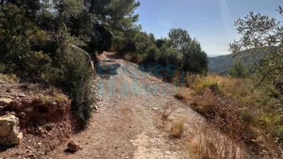 Rustic Finca in Albiol (L`) photo 9