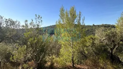 Rustic Finca in Albiol (L`) photo 85