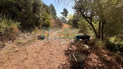 Rustic Finca in Albiol (L`) photo 52