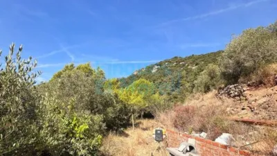 Rustic Finca in Albiol (L`) photo 53