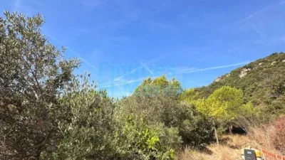 Rustic Finca in Albiol (L`) photo 51