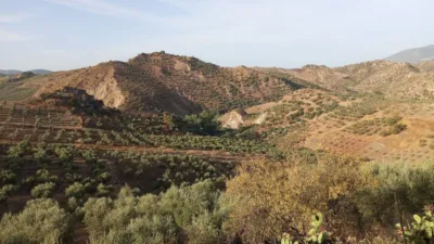 Rustic Finca in Olvera photo 23