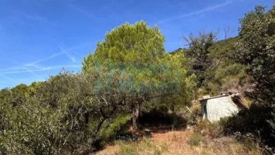 Rustic Finca in Albiol (L`) photo 65