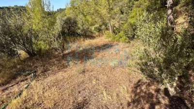 Rustic Finca in Albiol (L`) photo 87