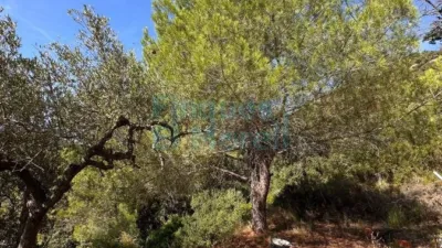 Rustic Finca in Albiol (L`) photo 98