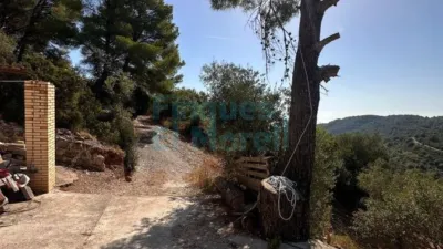 Rustic Finca in Albiol (L`) photo 15