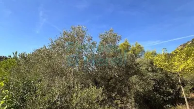 Rustic Finca in Albiol (L`) photo 45