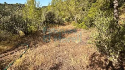 Rustic Finca in Albiol (L`) photo 91