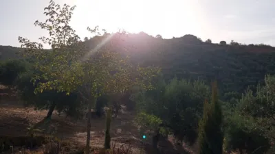 Rustic Finca in Olvera photo 33