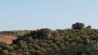 Rustic Finca in Olvera photo 39