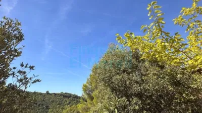 Rustic Finca in Albiol (L`) photo 42