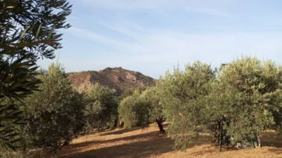Rustic Finca in Olvera photo 20