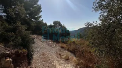 Rustic Finca in Albiol (L`) photo 71