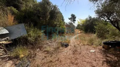 Rustic Finca in Albiol (L`) photo 62