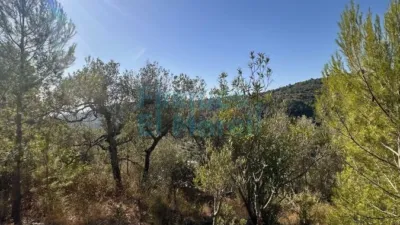 Rustic Finca in Albiol (L`) photo 84