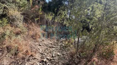 Rustic Finca in Albiol (L`) photo 95