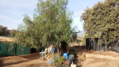 Rustic Finca in Olvera photo 10