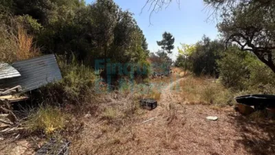 Rustic Finca in Albiol (L`) photo 14