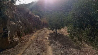 Rustic Finca in Olvera photo 18