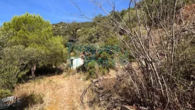 Rustic Finca in Albiol (L`) photo 41