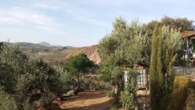 Rustic Finca in Olvera photo 30
