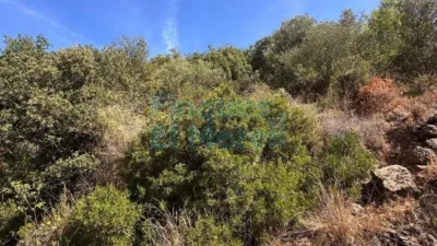 Rustic Finca in Albiol (L`) photo 69