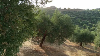 Rustic Finca in Olvera photo 32
