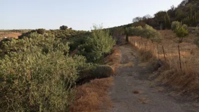 Rustic Finca in Olvera photo 42