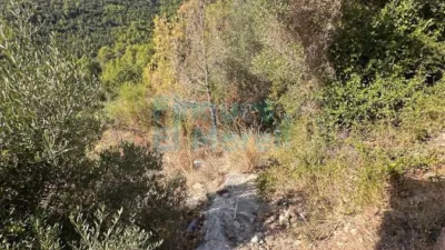 Rustic Finca in Albiol (L`) photo 60