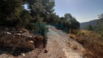 Rustic Finca in Albiol (L`) photo 73