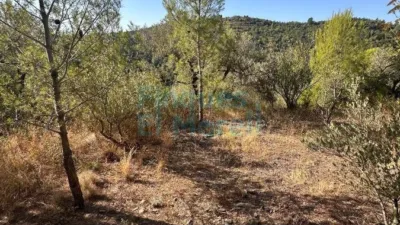 Rustic Finca in Albiol (L`) photo 93