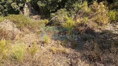 Rustic Finca in Albiol (L`) photo 96