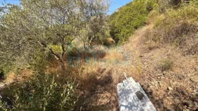 Rustic Finca in Albiol (L`) photo 88