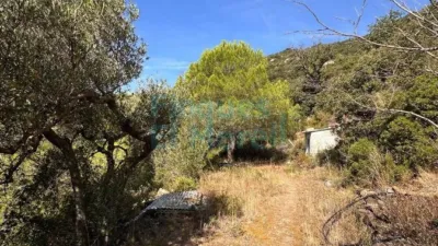 Rustic Finca in Albiol (L`) photo 38