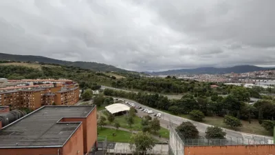 Apartment in Txurdinaga photo 12