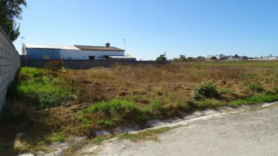 Rustic plot on Calle Peral Silvestre, No. 15 photo 14