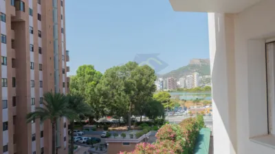 Apartment in Calpe - Playa La Fossa photo 2