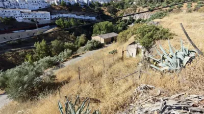 Rural Finca in Setenil photo 3