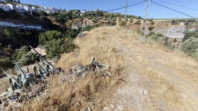 Rural Finca in Setenil photo 5