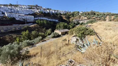 Rural Finca in Setenil photo 4