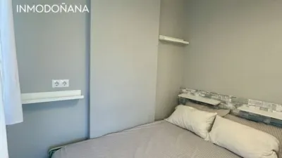 Apartment in Halcón Peregrino Sector photo 5