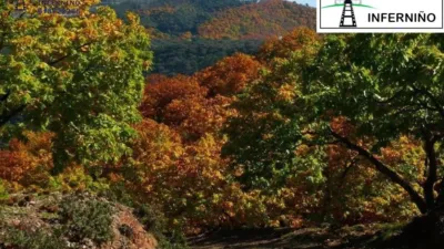 Chalet in Montoxo photo 13