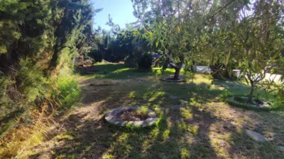 Rustic finca on Don Gil Street (Carril Juan Candil) photo 25