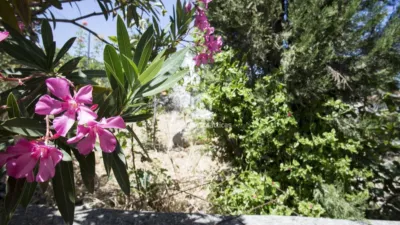 Chalet in Fuerte del Rey photo 46