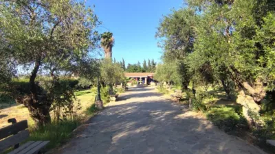 Rustic finca on Don Gil Street (Carril Juan Candil) photo 26
