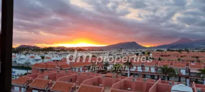 Apartment in Costa del Silencio photo 20