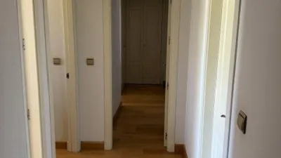 Apartment on Jandula Street photo 14