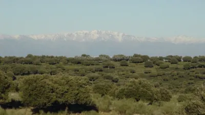Rustic Finca in Serrejon photo 11