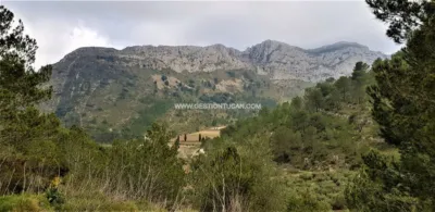 Rustic Finca in Benigembla photo 10